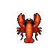 Open Claw